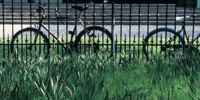 bikes, George Square