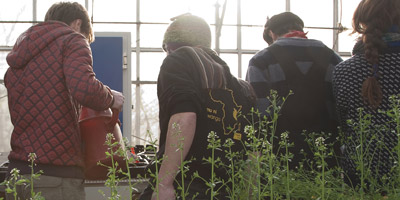 M 100809 MSP commends green effort gardening at king's building greenhouse