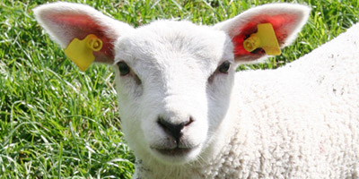 M 130515 Staff help establish community farm