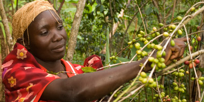 fairtrade worker