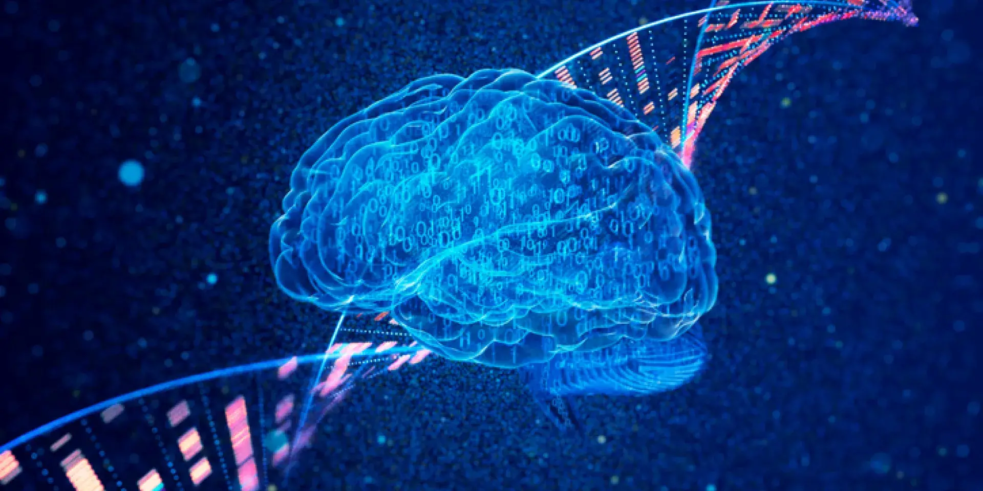 Image of brain and dna