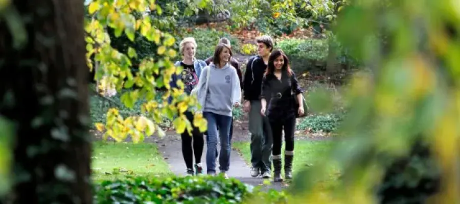 Mental Health Support