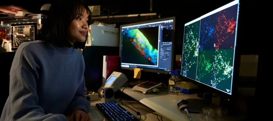 Shaping the future of health and care