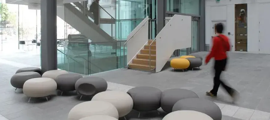 Structure and organisation