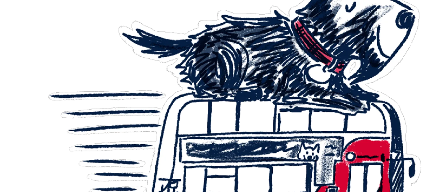 dog on bus riding 