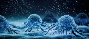 Microscopic images of cancer cells