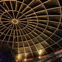 The roof of Potterrow's dome at night
