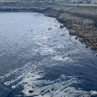 EFC student photo comp Shells in the Sea Rachel Cranmer