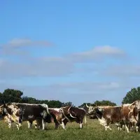 EFC student photo comp Their Ignorance Is Bliss Molly Jones