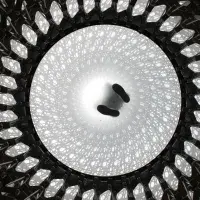 EFI - student photo comp 2022 - Antonia Wilford