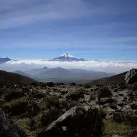 EFI student photo comp 2022 - Nicolas Ruiz - Frailejón y Nevados