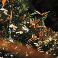 EFC student photo comp Equilibrium 1. Equilibrium 2. Equilibrium 3. Sofia Ramirez Vergar