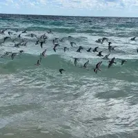 EFC student photo comp Equilibrium 1. Equilibrium 2. Equilibrium 3. Sofia Ramirez Vergar