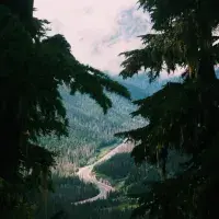 EFI student photo comp 2022 - Ash Tomkins - Mushroom. Athabasca. Highway to…