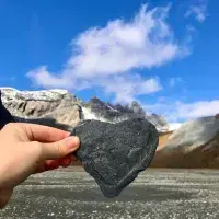 EFC student photo comp A Cry For Help: ‘heal me’ screams nature through its every pore Maëlle Tholome