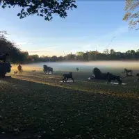 EFC student photo comp We’re All In the Same Boat Mehmet Ali Temur