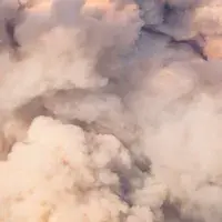 EFI student photo comp 2022 - Ash Tomkins - Mushroom. Athabasca. Highway to…