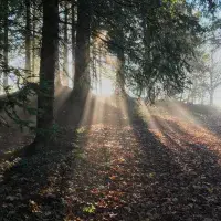 EFC student photo comp Nature In The Spotlight: ‘Look at that beauty’ says the sun Maëlle Tholome