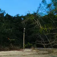 EFC student photo comp Overgrown Alex Porter