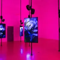 Talbot rice - Angelica Mesiti