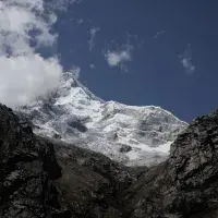 EFI student photo comp 2022 - Nicolas Ruiz - Frailejón y Nevados