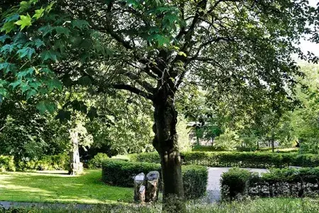 Health and wellbeing