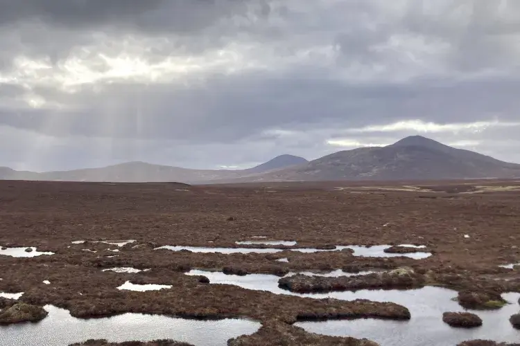 The Flow Country, Scotland. Study sample area and UNESCO world heritage site. 