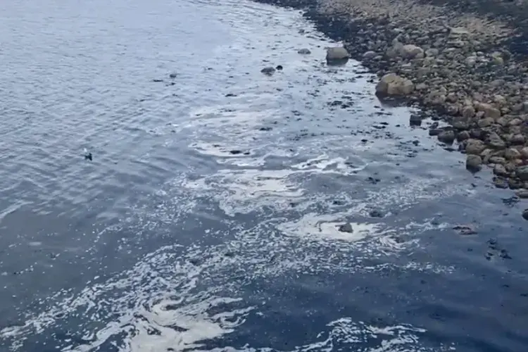 EFC student photo comp Shells in the Sea Rachel Cranmer