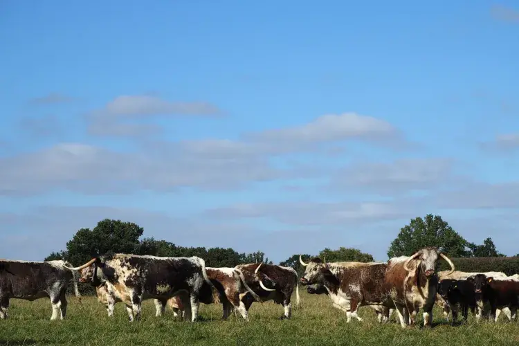 EFC student photo comp Their Ignorance Is Bliss Molly Jones