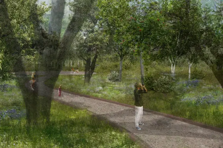 ECA Graduate show - Nikki Petrova