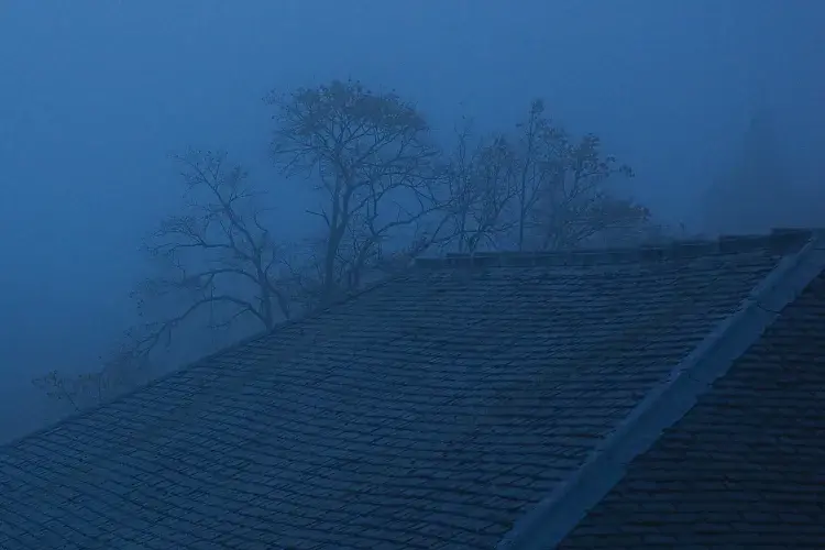 EFC student photo comp A Blue Rainy Day Joan Wang