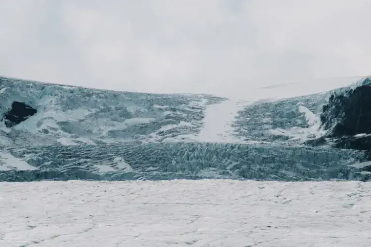 EFI student photo comp 2022 - Ash Tomkins - Mushroom. Athabasca. Highway to…