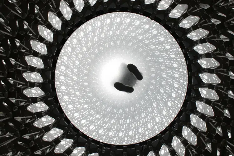 EFI - student photo comp 2022 - Antonia Wilford