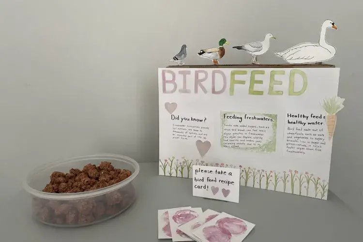 ECA - graduate show - Elizabeth Finley