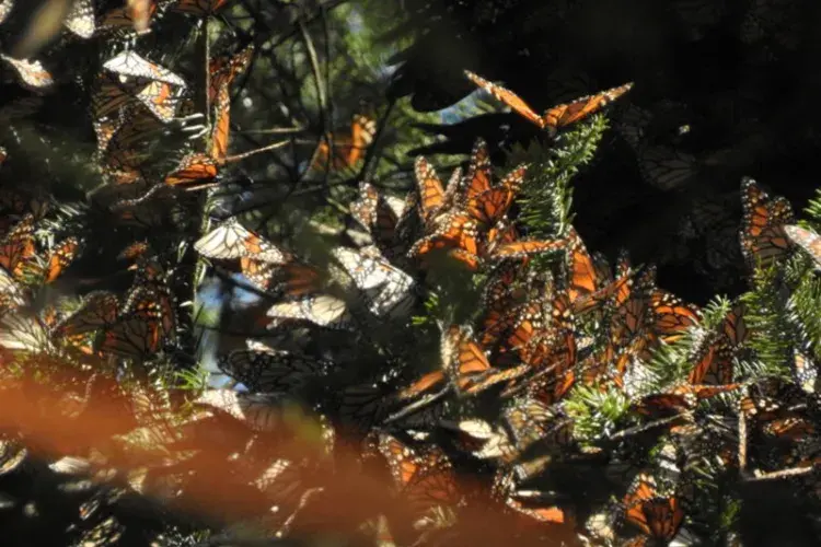 EFC student photo comp Equilibrium 1. Equilibrium 2. Equilibrium 3. Sofia Ramirez Vergar