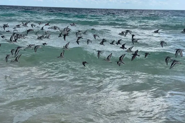 EFC student photo comp Equilibrium 1. Equilibrium 2. Equilibrium 3. Sofia Ramirez Vergar