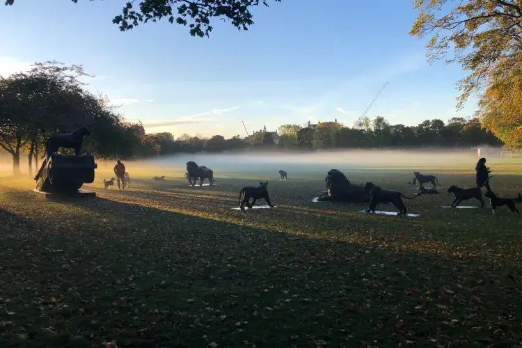 EFC student photo comp We’re All In the Same Boat Mehmet Ali Temur