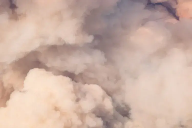 EFI student photo comp 2022 - Ash Tomkins - Mushroom. Athabasca. Highway to…