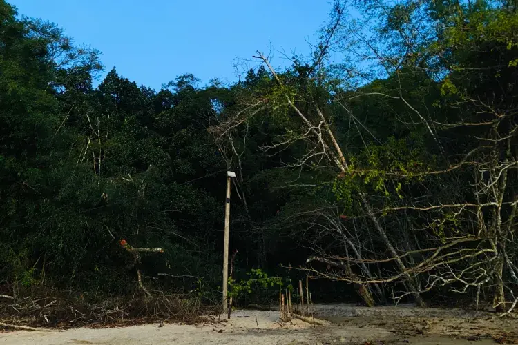 EFC student photo comp Overgrown Alex Porter