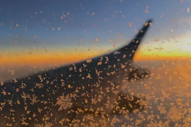 EFC student photo comp Travel: The Contemporary Dilemma Maëlle Tholome