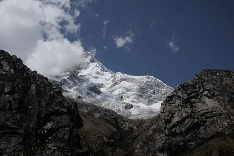 EFI student photo comp 2022 - Nicolas Ruiz - Frailejón y Nevados