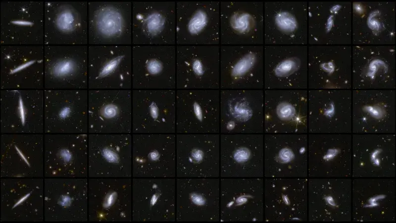 Examples of galaxies of different shapes captured by the Euclid satellite