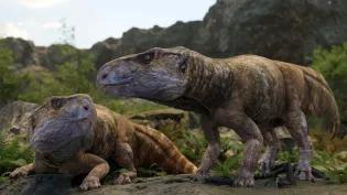 Artist's impression of two Ajkaceratops kozmai dinosaurs